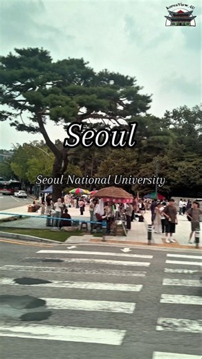 Seoul National University Graduation Ceremony (서울대학교 졸업식) 🎓🌸✨