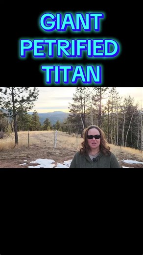 #titan #therockswerealive #colorado #giants #petrified