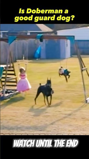 Doberman Protects Kids While They Play | Loyal Family Guardian #doberman #dog