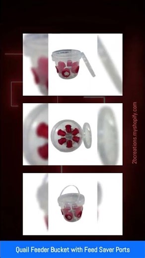 Quail Feeder Bucket with Feed Saver Ports