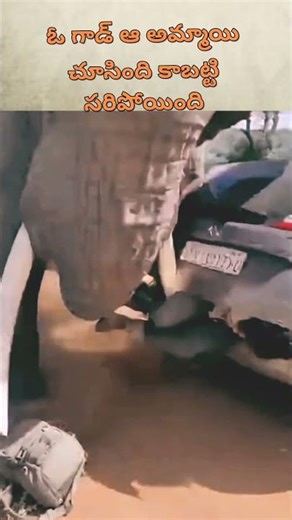 #elephant was #women #attack #Aianimal jungle