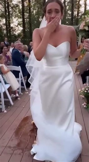 Bride has a accident at wedding