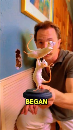 He Built a Secret Mouse Park Inside His Wall 🐭🤯