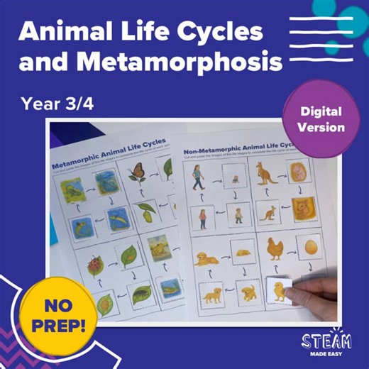Animal Life Cycles & Metamorphosis – Printable and Digital Worksheets Year 3/4