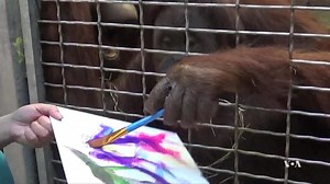 Zoo Animals Show Their Artistic Sides