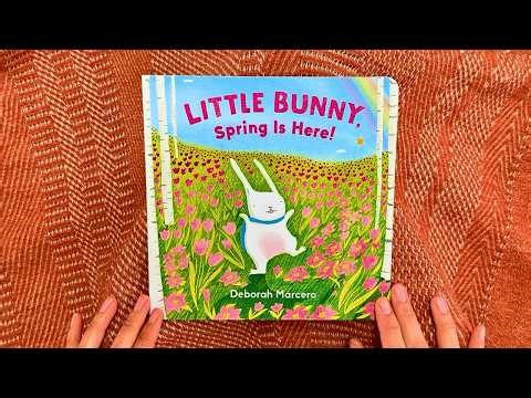 Little Bunny, Spring Is Here! | Sweet Spring Read Aloud for Kids 🌸🐰