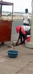 😪FLAGRADO: Jovem a cortar unhas com a faca que corta cana doce para fazer suco delicioso Casal News #ULTIMAS #javiste | A R O N E Creator