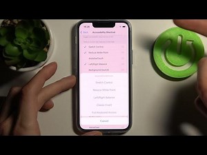 How to Customize Accessibility Shortcuts in iPhone 13 Mini? Ma...