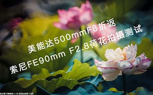 FE90 macro 和minolta 美能达 500 f8拍摄荷花测试