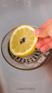 228K views · 418 reactions | Unexpected tips to solve daily challenges | 5-Minute Crafts Family | Facebook