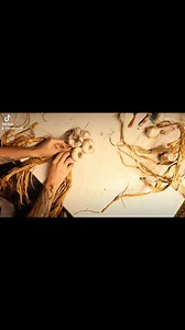 Replying to @themakeovermommakb How to braid garlic! This also works for onions and shallots. Note that only softneck garlic can be braided. Hard neck cannot. You can also incorporate herbs for an entirely edible garlic braid! #homesteadstuff #garlicbraiding #garlic #farmtok | Modern Homesteading w/ Tessa | Facebook