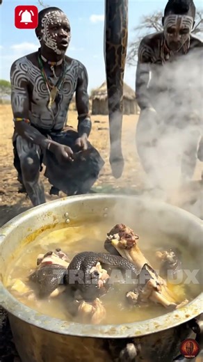Cooking a GIANT Python! Karo Tribal Feast 😱🐍 #Shorts #TribalFlux