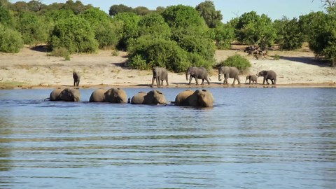 Villages & Wildlife of Zambia 🇿🇲🦓 Africa’s Untamed Beauty
