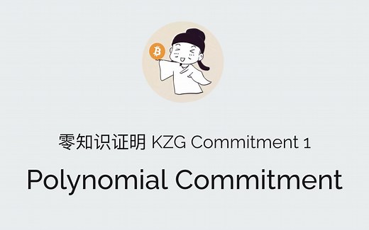 零知识证明 KZG Commitment 1: Polynomial Commitment 20221129