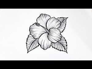 How to Draw a Hibiscus Flower Step by Step | Easy Flower Drawing for Beginners