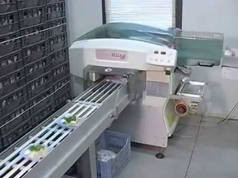Elixa Mega: Automatic Tray Wrapping Machine - For Mushrooms