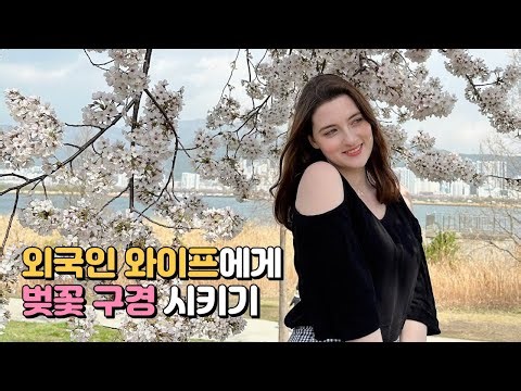 Сherry blossom in korea🌸