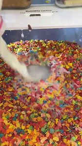 Stress-Free Breakfast Prep for Busy Mornings