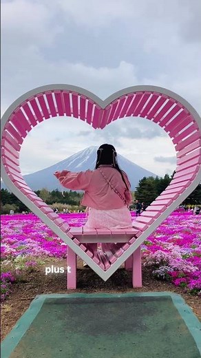 Fuji Shibazakura Festival: See Mt. Fuji Surrounded by Pink Blooms! - LIVE JAPAN