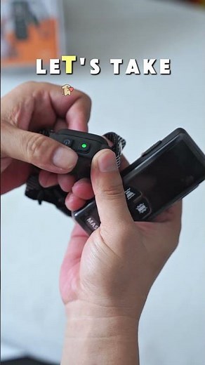 Train Your Small Dog with Sound & Vibration | Masbrill 927