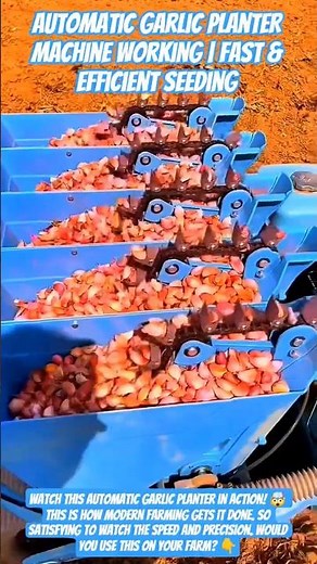 ​Automatic Garlic Planter Machine Working | Fast & Efficient Seeding