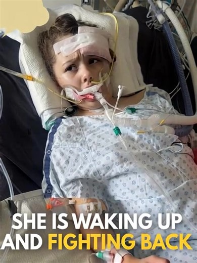 12-YEAR-OLD MAYA “MAYA BEAR” GEBALA DEFIES DOCTORS’ DIRE WARNING AND BEGINS BREATHING ON HER OWN AFTER FAMILY WAS TOLD SHE HAD ONLY HOURS TO LIVE Just days ago, doctors warned Maya Gebala’s parents that time was running out and that she might only have hours left. Now, in a stunning turnaround, Maya has begun taking her own breaths as the ventilator slowly backs off. She has gone from complete stillness to moving more each day, showing signs of strength no one can deny. Her family calls her an a