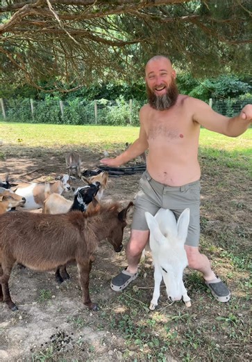 Understanding Fire Ant Behavior in Gardens