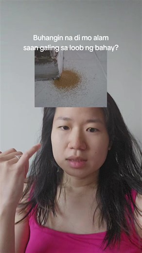 Dealing with Termite Infestation: Effective Pest Control Tips