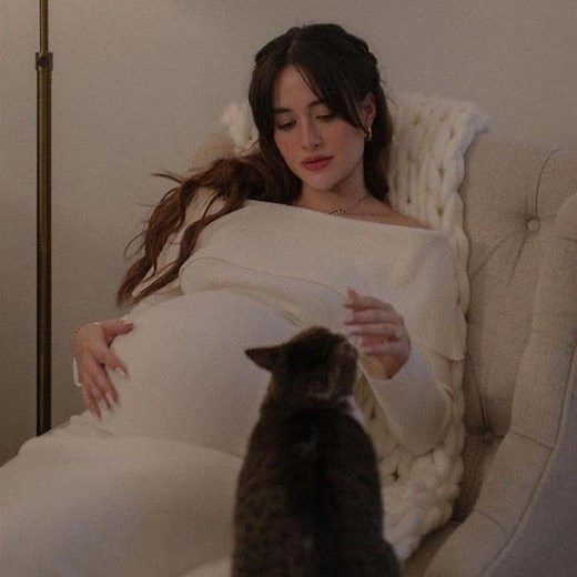 pregnant subliminals (booster)