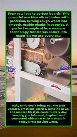 The Power of Modern Wood Processing Machines | Daily Drift Media