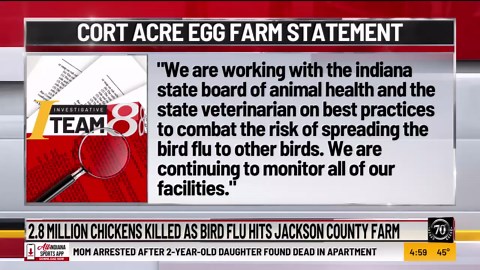 2.8 million chickens killed as bird flu hits Cort Acre Egg Farm