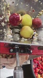 Grinding Apples for Cider 2025
