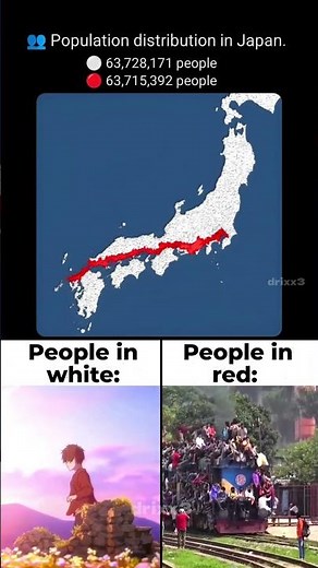 Population Distribution of Japan 🔴⚪