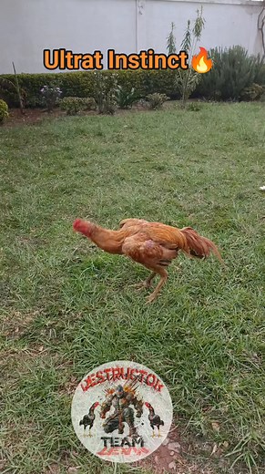 20K views · 869 reactions | Destructor Farm on Reels | Facebook