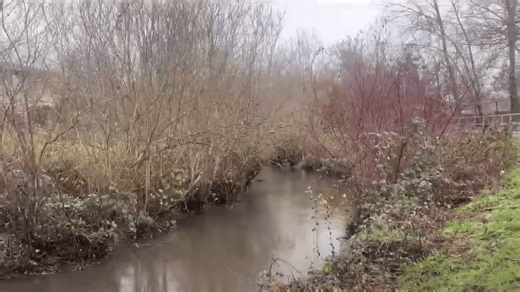 Eugene prepares for heavy rainfall with proactive flood prevention measures in place