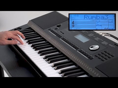 “Play CHORD” Roland E-X20 #03