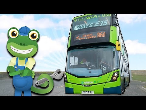 Gecko's Real Vehicles - Buses | Vehicles For Kids | Geckos Garage | Learning For Kids