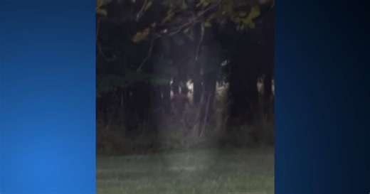 'It's really horrifying': Woman describes encounter with naked man in Amherst State Park