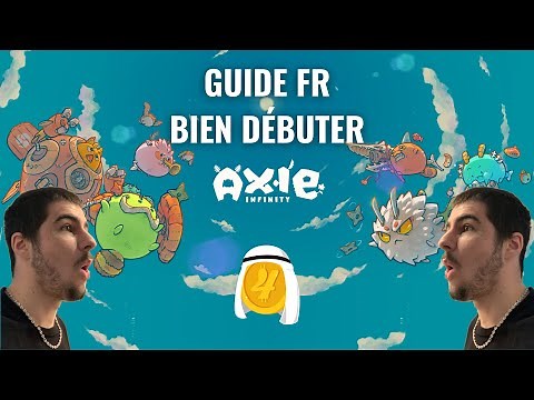 Axie infinity guide fr - Gagne de l'argent en jouant !