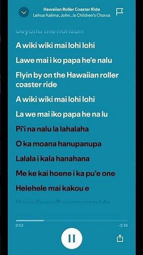 Hawaiian Roller Coaster Ride - Lyrics 🌺