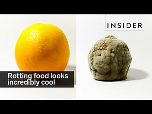 YouTube Channel Makes Rotting Food Look Cool