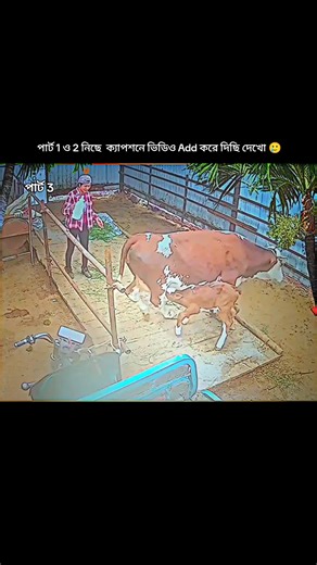 Rakibul's Ultimate Video Compilation: Part 1 and 2