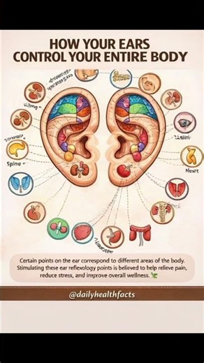 How Your Ears Control Your Entire Body 😱 | Ear Reflexology Explained