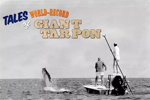 Tales of World-Record Giant Tarpon - Fly Fisherman