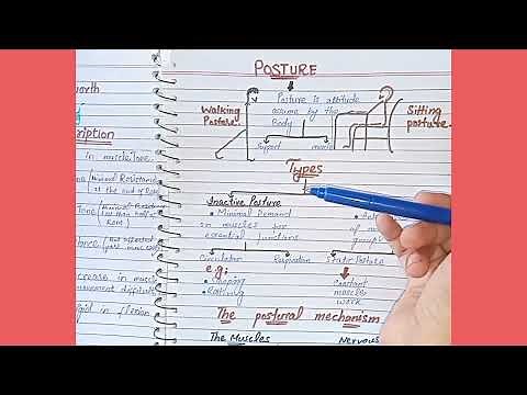 Posture and It's types