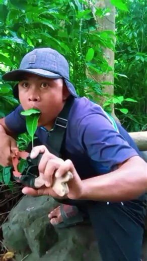 Unforgettable Sounds of Nature: Bird Songs