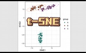 R需要保姆级教程/t-SNE