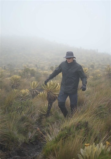 Colombia Travel Overview: Highlights, Culture & Tips