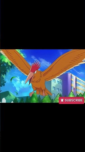 Spearow Evolution Fearow