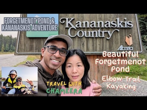 Forget me not Pond Kananaskis Adventure